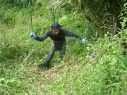 Maintenance of planted seedlings (5)